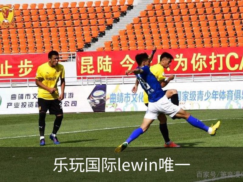 乐玩国际lewin唯一介绍